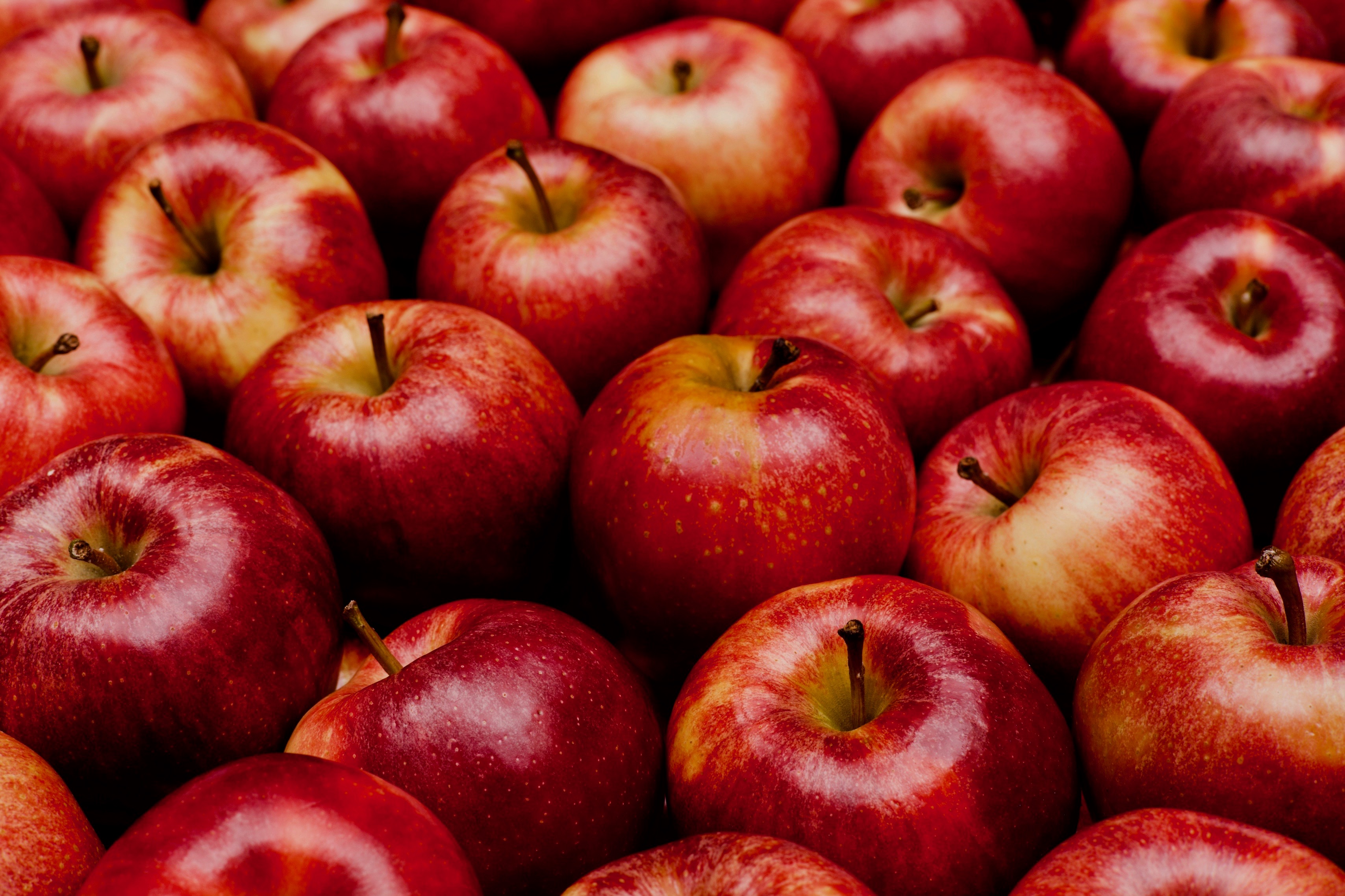 Produce Distributors of fresh Apples